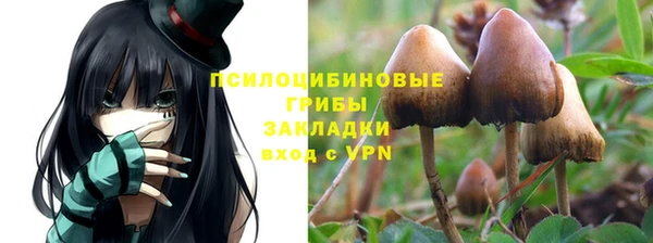 ПСИЛОЦИБИНОВЫЕ ГРИБЫ Кукмор