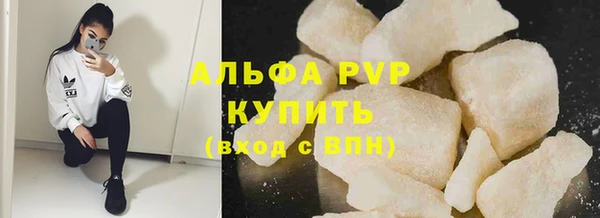 ПСИЛОЦИБИНОВЫЕ ГРИБЫ Кукмор