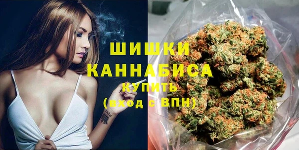ПСИЛОЦИБИНОВЫЕ ГРИБЫ Кукмор