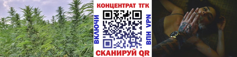 где продают наркотики  Чекалин  ТГК жижа 