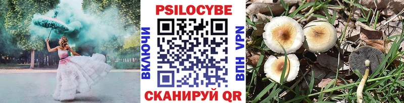 Псилоцибиновые грибы Psilocybe Чекалин